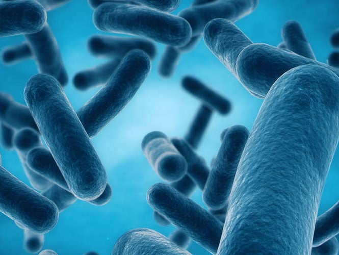 Was ist eigentlich… präbiotische und probiotische Kosmetik?