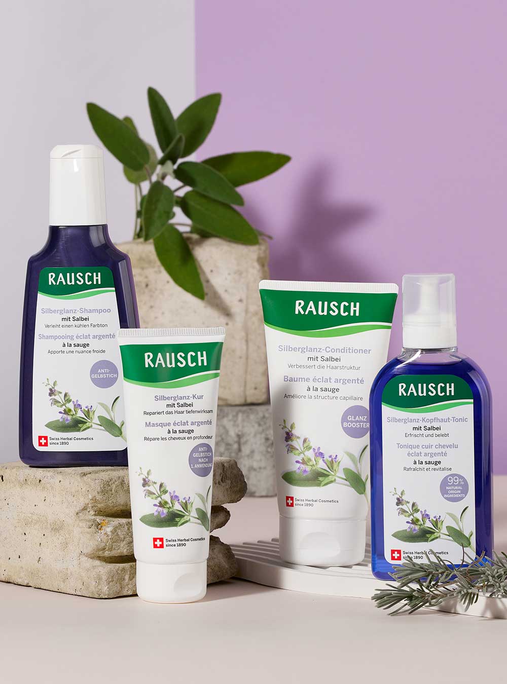 Ansicht der Silberglanz Linie