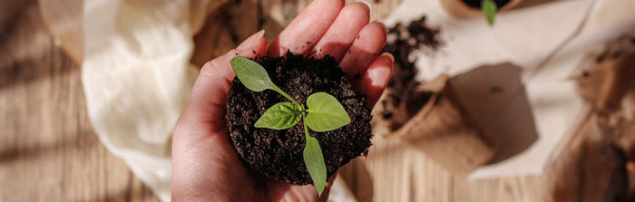 Was ist eigentlich... der Natural Origin Index?