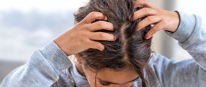 Lästige Läuse: Läuse erkennen und wirksam behandeln