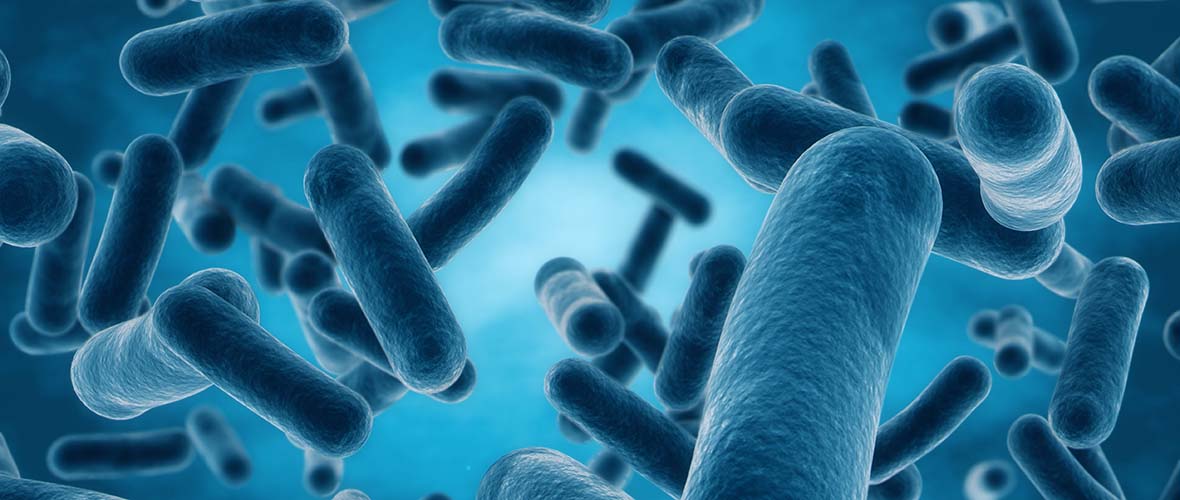 Was ist eigentlich… präbiotische und probiotische Kosmetik?