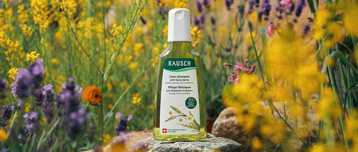 Mit Kräuterkraft und der Schweiz im Herzen die Welt berauschen