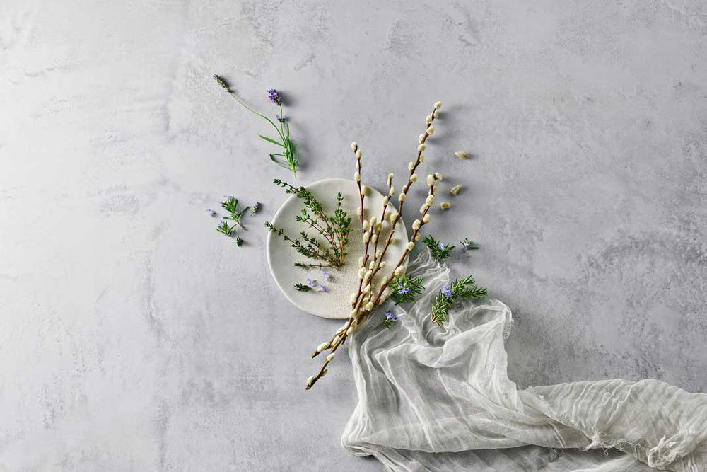 Weiden-Kätzchen mit Lavendelblüten und Rosmarinblüten auf einem grauen Hintergrund